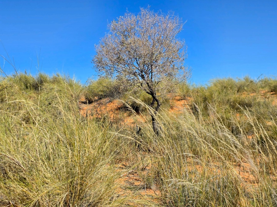 Commercial Property for Sale in Upington Rural Northern Cape